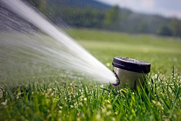 Common sprinkler system problems in Arizona desert landscapes