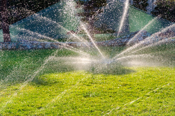 Scottsdale Irrigation Problems
