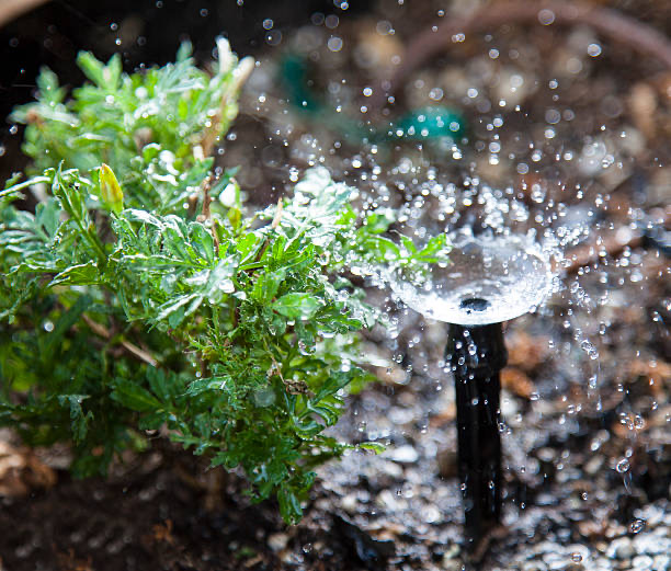Warning signs that an Arizona irrigation system needs professional repair