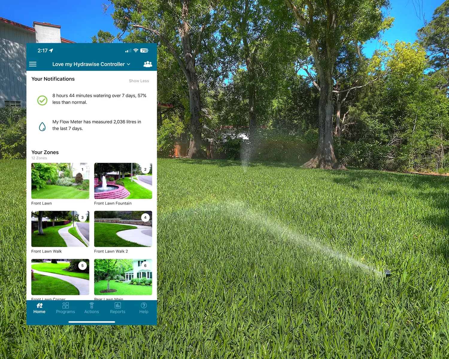 Professional landscape lighting installation in Scottsdale AZ desert yard